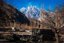 Hunza Valley Spring Tour