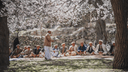 Hunza Blossom Festival Tour